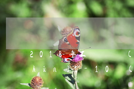 2018年工傷賠償標(biāo)準(zhǔn)1-10級(jí)、一次性工亡補(bǔ)助金標(biāo)準(zhǔn)